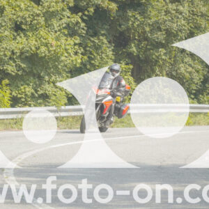 thumb_FF106354