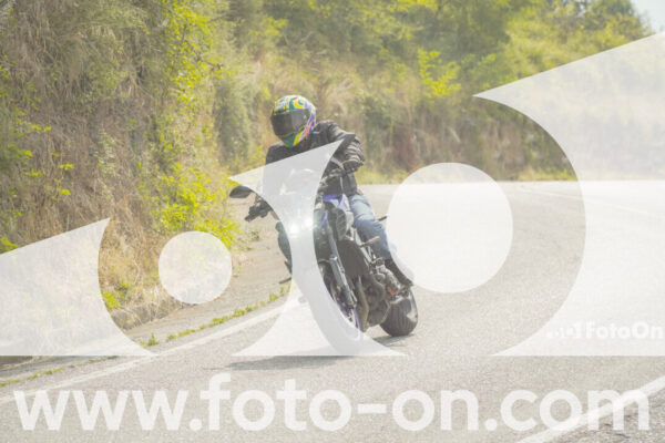 <h1 class="product-title">thumb_FF106360</h1>