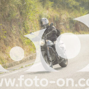thumb_FF106368