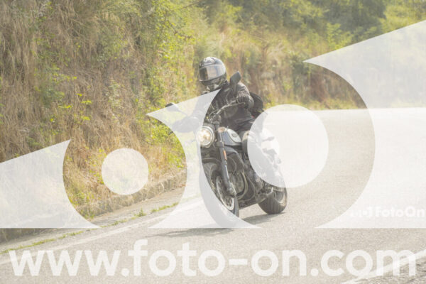 <h1 class="product-title">thumb_FF106368</h1>