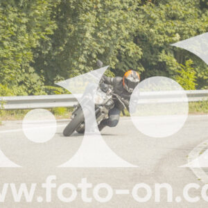 thumb_FF106369