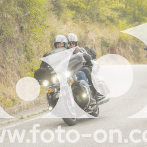 thumb_FF106372