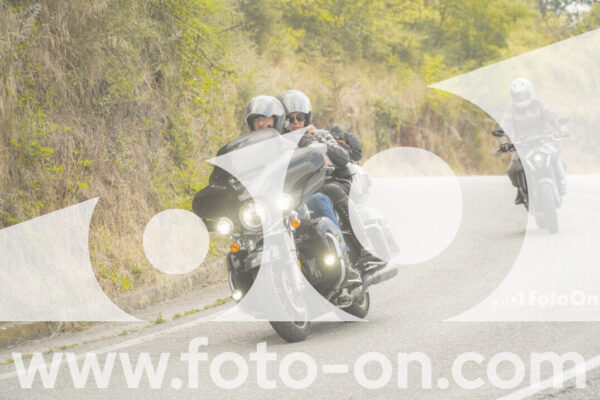 <h1 class="product-title">thumb_FF106372</h1>