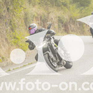 thumb_FF106378