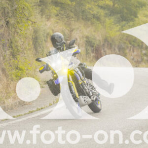 thumb_FF106381
