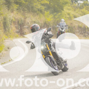 thumb_FF106384-1
