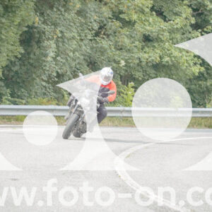 thumb_FF106391