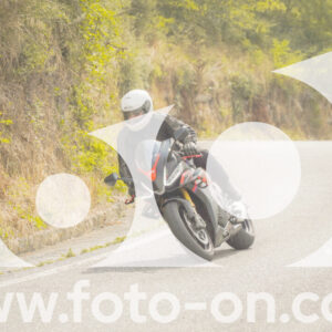 thumb_FF106393