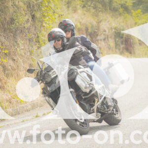 thumb_FF106395