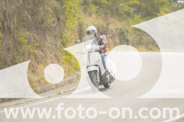 <h1 class="product-title">thumb_FF106396-1</h1>