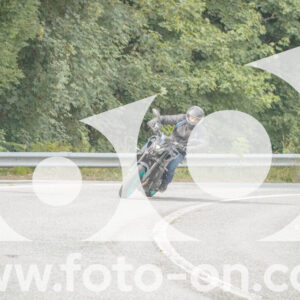 thumb_FF106396