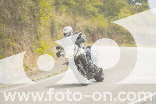 <h1 class="product-title">thumb_FF106406</h1>