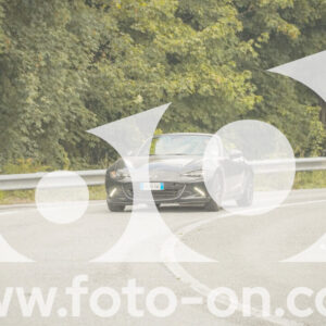 thumb_FF106422