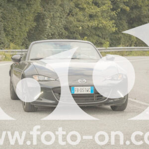 thumb_FF106423_1