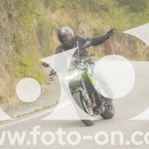 thumb_FF106430