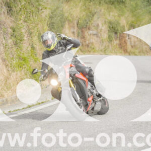 thumb_FF106438