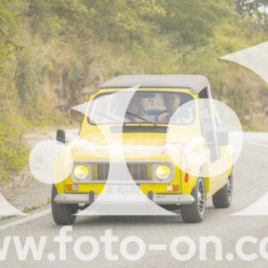 thumb_FF106440