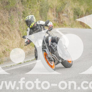 thumb_FF106464