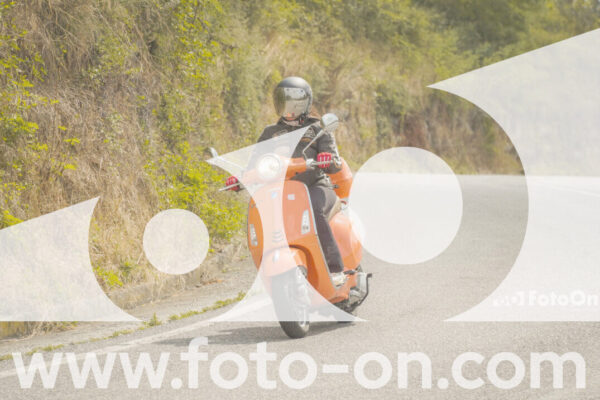 <h1 class="product-title">thumb_FF106467</h1>