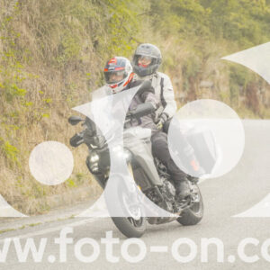 thumb_FF106474
