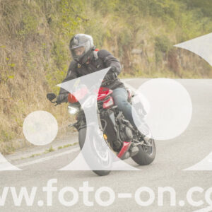 thumb_FF106475-1