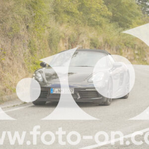 thumb_FF106485