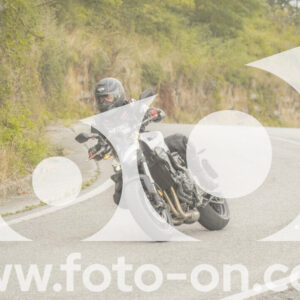 thumb_FF106488
