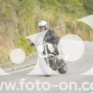 thumb_FF106493