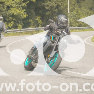 thumb_FF106503-1
