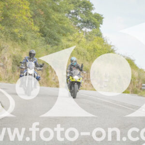 thumb_FF106505