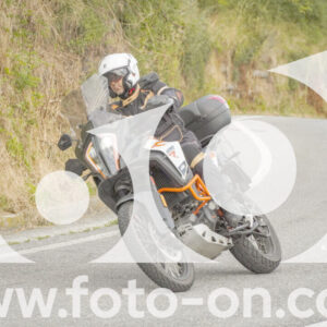 thumb_FF106508