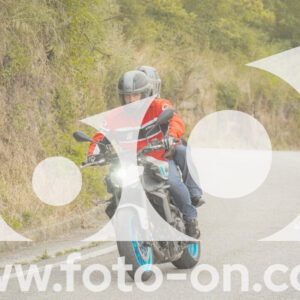 thumb_FF106509