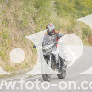 thumb_FF106510