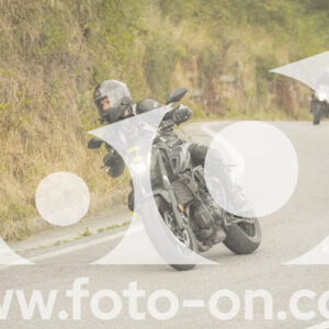 thumb_FF106524-1