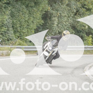 thumb_FF106524