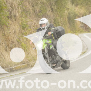 thumb_FF106530