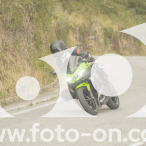 thumb_FF106536