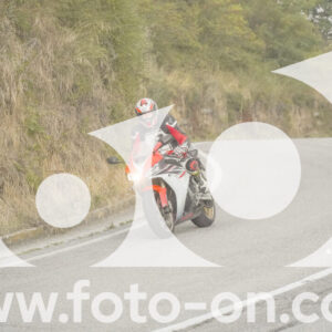thumb_FF106545