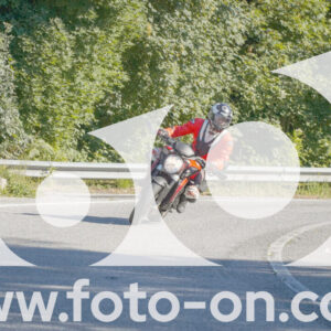 thumb_FF106594