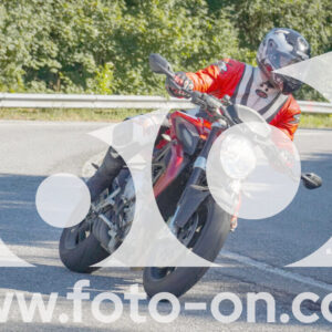 thumb_FF106598