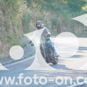 thumb_FF106605