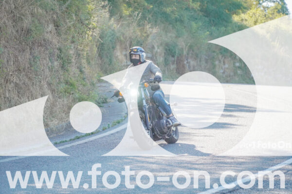 <h1 class="product-title">thumb_FF106605</h1>