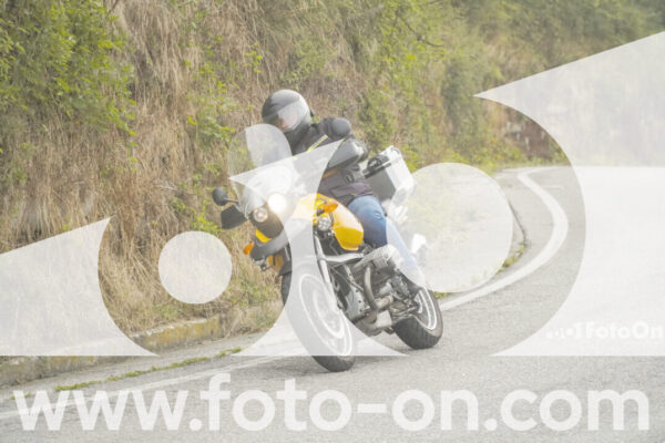 <h1 class="product-title">thumb_FF106627-1</h1>