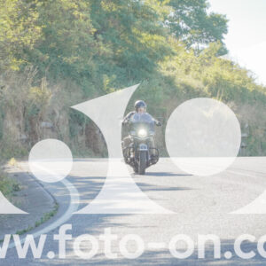 thumb_FF106645