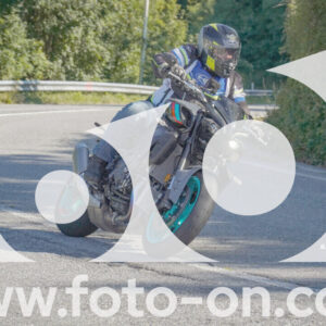 thumb_FF106653