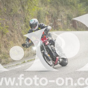 thumb_FF106684