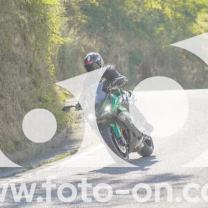 thumb_FF106696