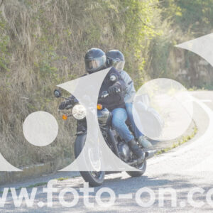 thumb_FF106704