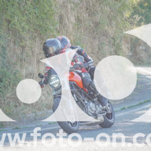 thumb_FF106717