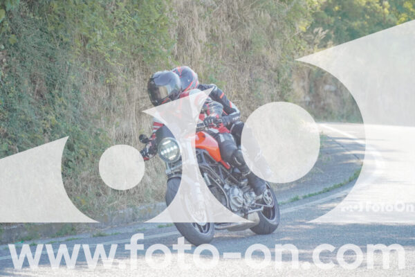 <h1 class="product-title">thumb_FF106717</h1>